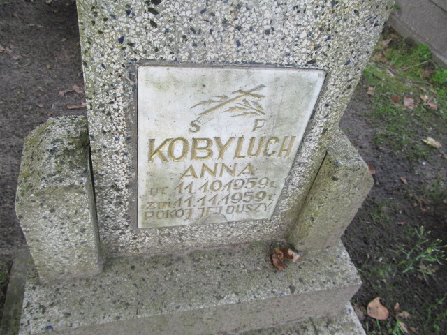 Grób Anna Kobyluch